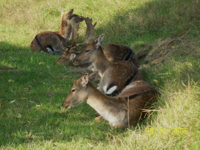 Foto di famiglia ...